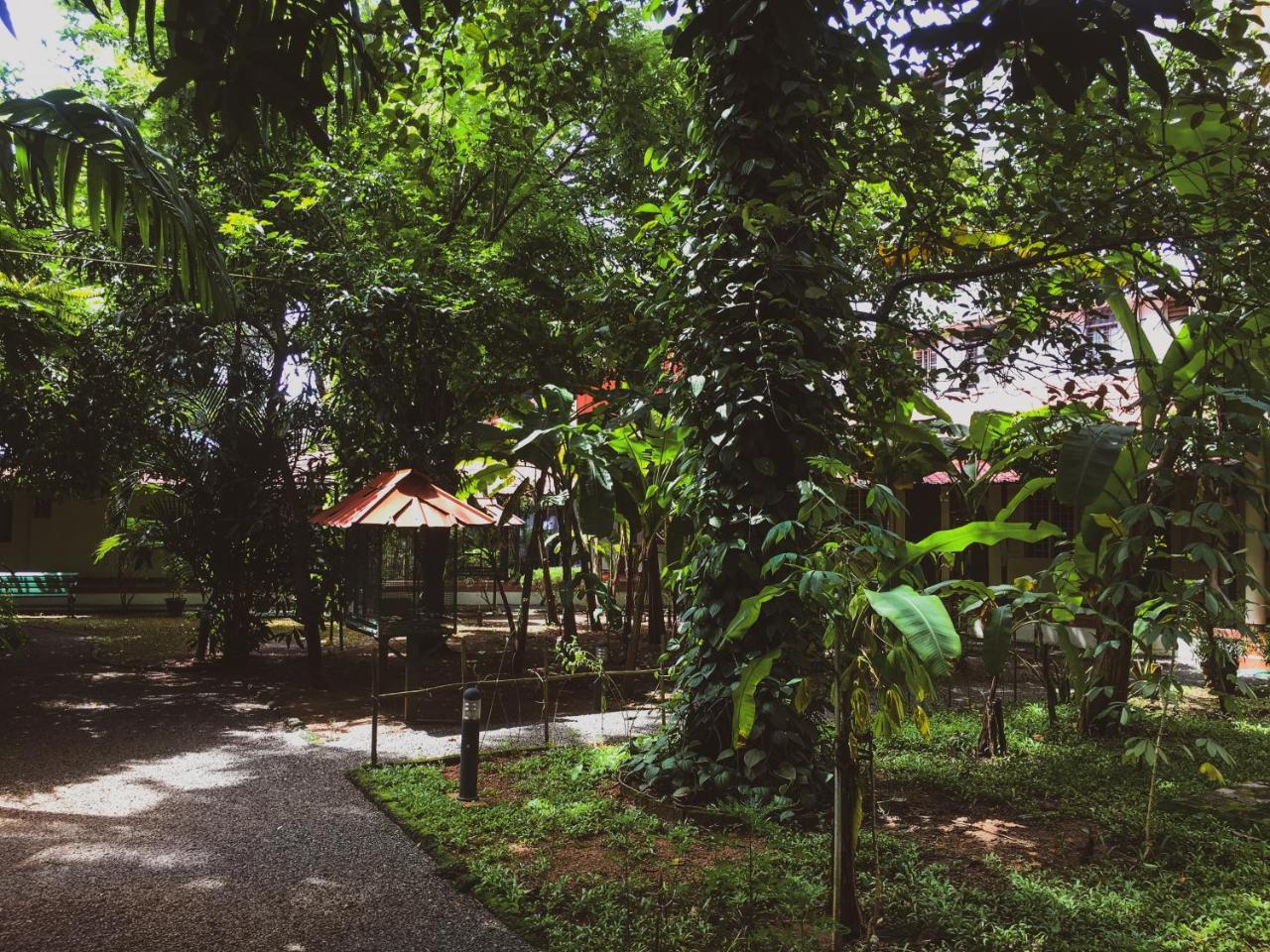 Palm Grove Service Villa Kochi Εξωτερικό φωτογραφία
