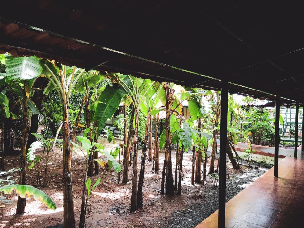 Palm Grove Service Villa Kochi Εξωτερικό φωτογραφία
