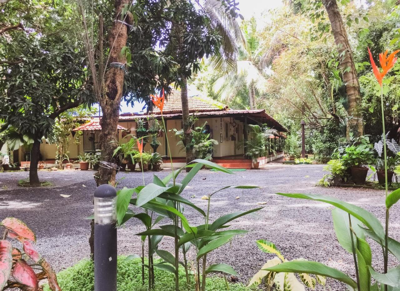Palm Grove Service Villa Kochi Εξωτερικό φωτογραφία